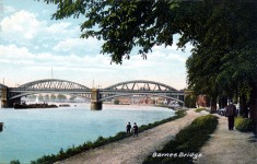 Barnes Bridge,river view
